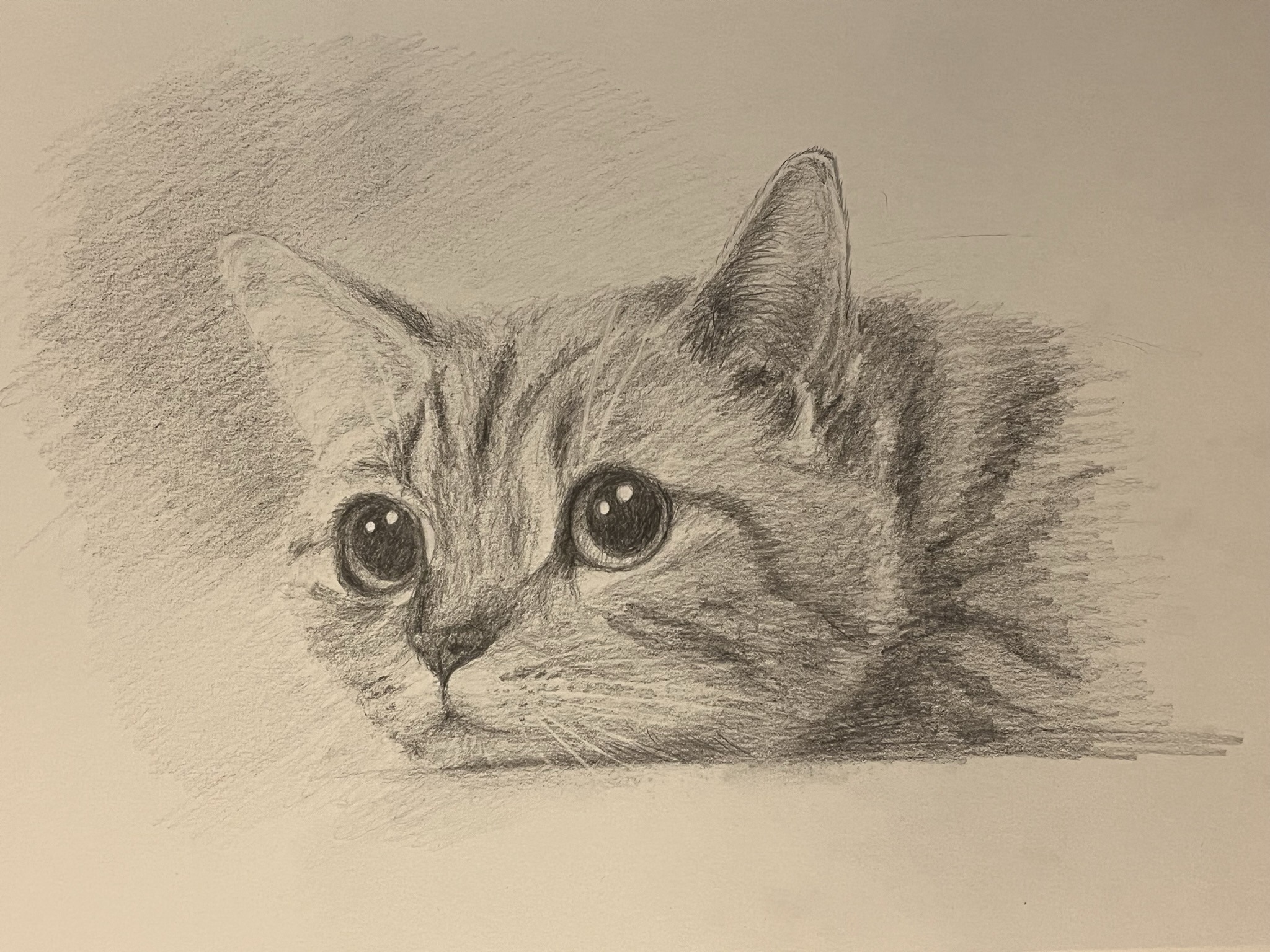 Грустный кот