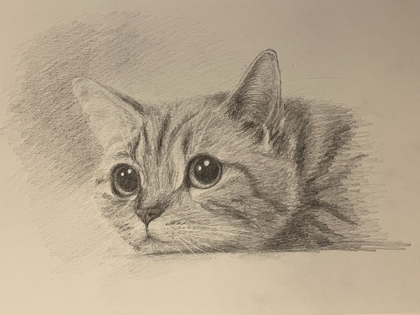 Грустный кот