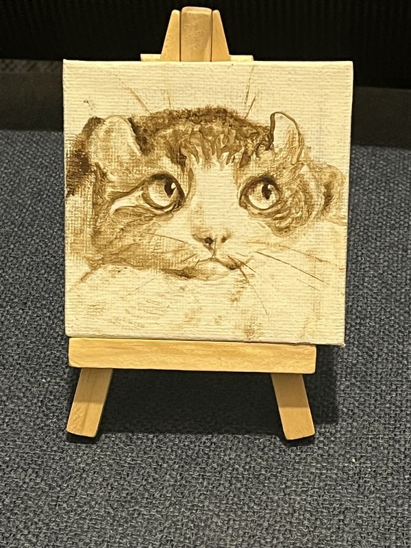 Кот монохром