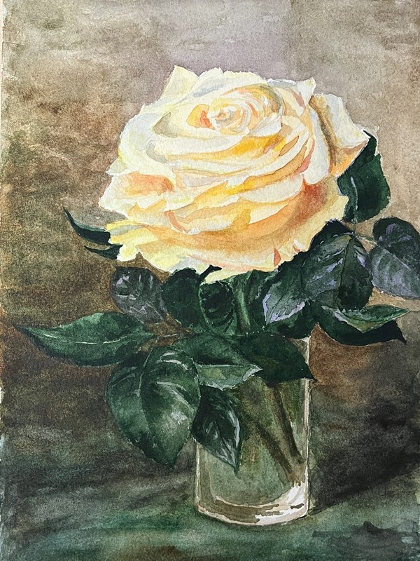 Роза
