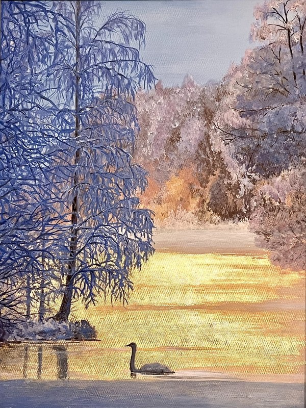 Зимний лебедь