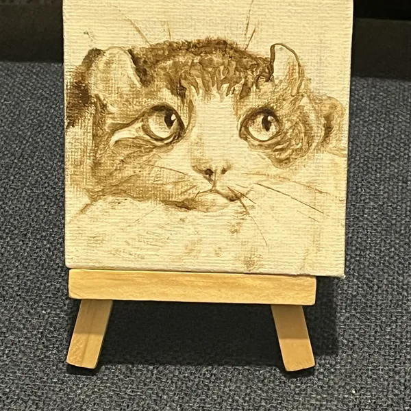 Кот монохром