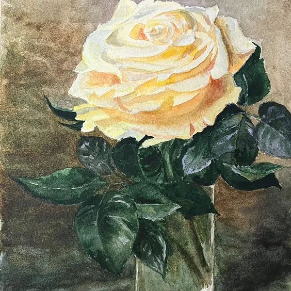 Роза