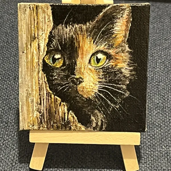 Черный кот